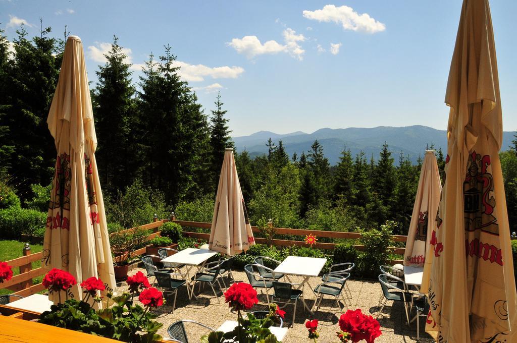 Kolmsteiner Hof Hotel Neukirchen beim Heiligen Blut Luaran gambar